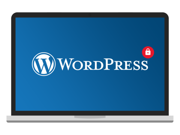 All our WordPress websites are secure