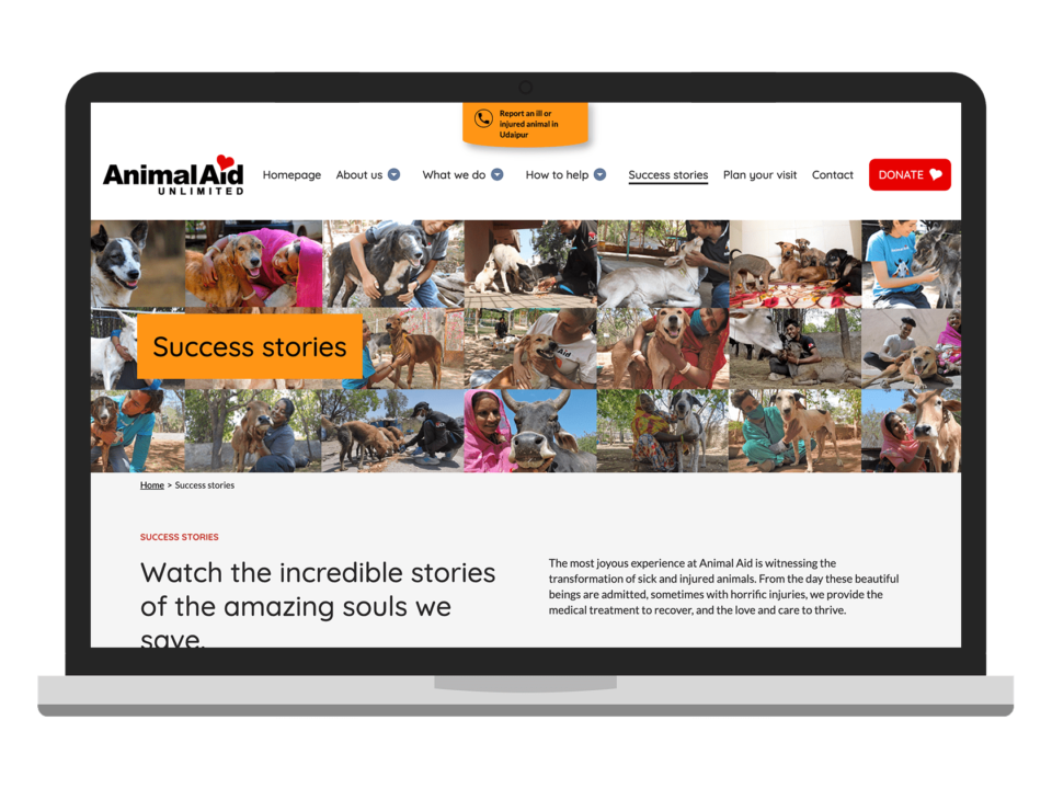 AAU a high quality charity website visualised on a laptop