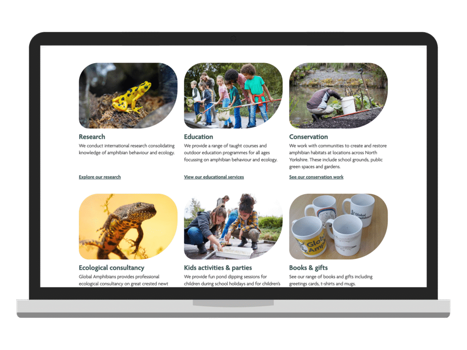 An example of high end design for a local business visualised on a desktop device