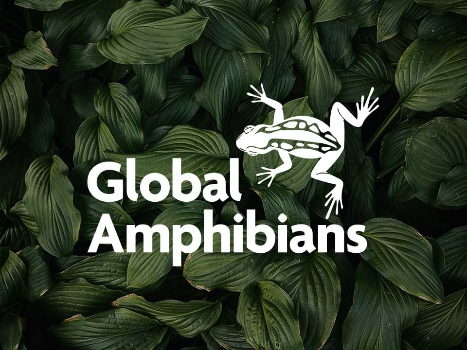 An example of high end logo design for a local business