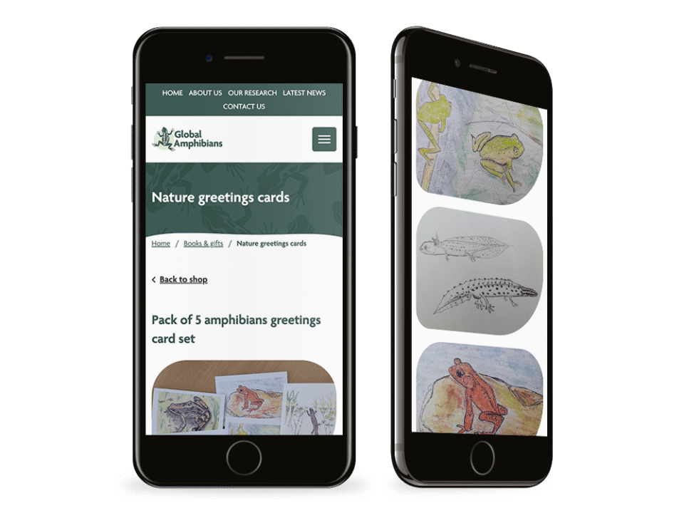 An example of high end design for a local business visualised on a mobile device