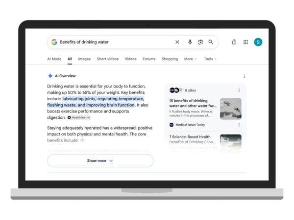 Example of Google's AI Overview appearing above the traditional search results.